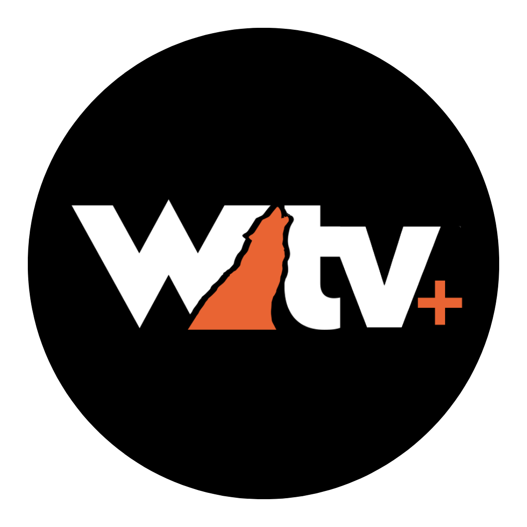WildTV +