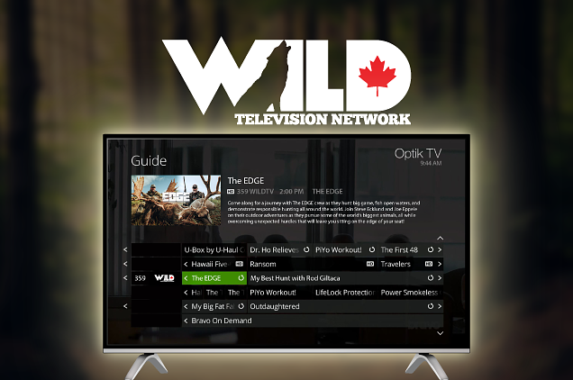 WildTV Broadcast