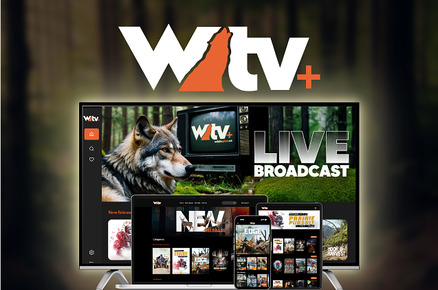 WildTV +