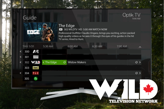 WildTV Broadcast