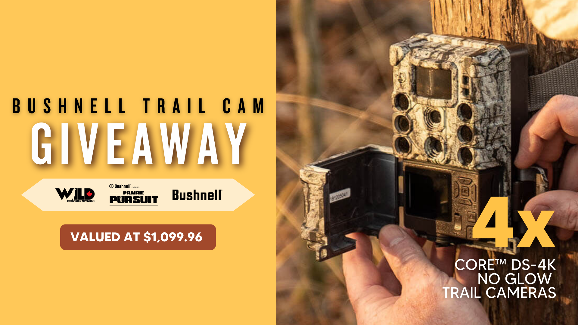 Enter our Bushnell Trail Camera Giveaway!